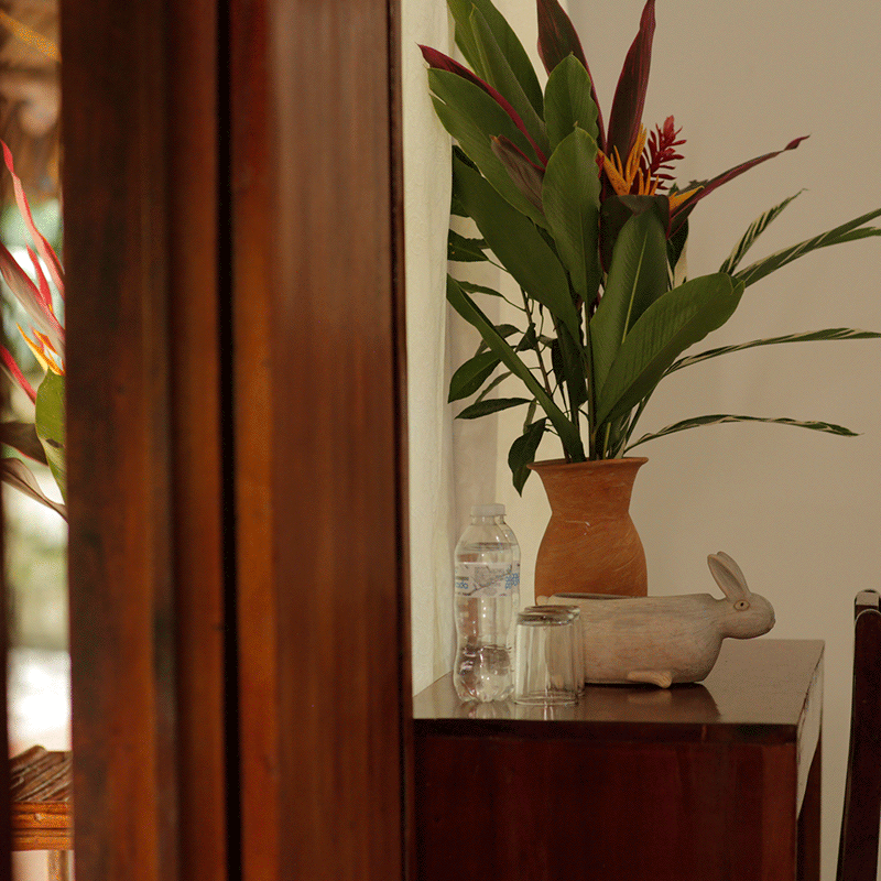 Hoteles económicos en Chaiapas