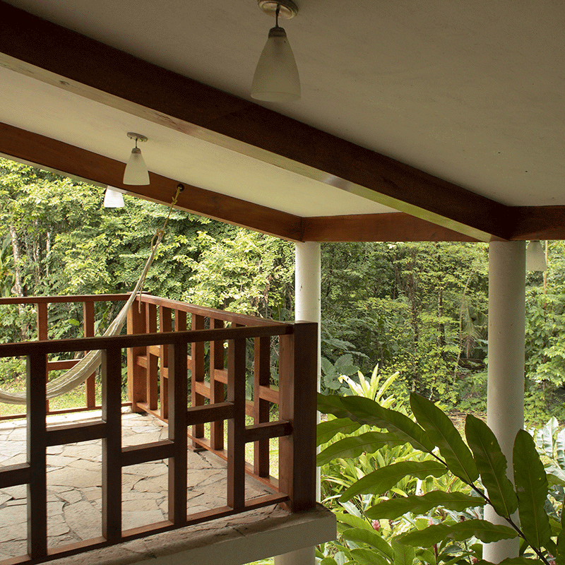 hoteles en Palenque